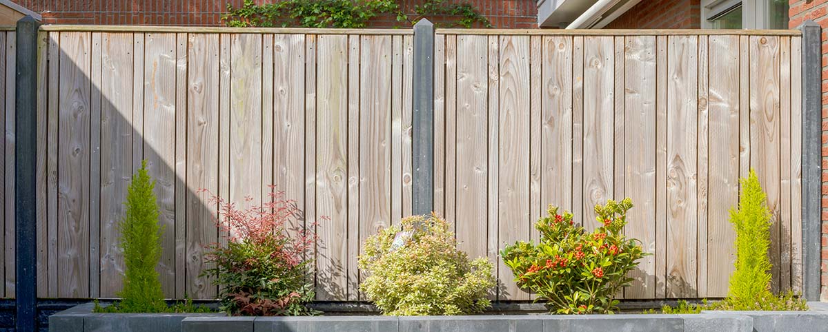 Modern wooden fence with plants in front